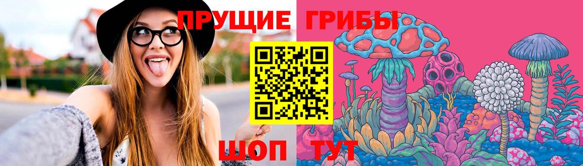 Псилоцибиновые грибы MAGIC MUSHROOMS  Вход с VPN  Псилоцибиновые грибы Cubensis  Ярцево 